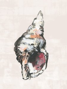 Beschilderde schelp van de kust door cartissi