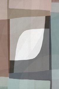 Zachte geometrische stroming door cartissi