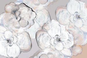 Zachte witte bloesems door cartissi