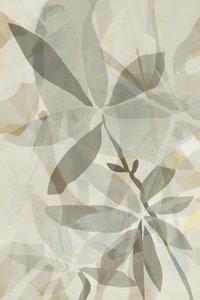 Doorschijnende botanische overlapping door cartissi