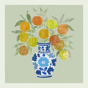 Kleurrijke citrusvaas door cartissi