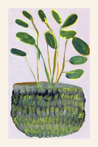 Kleurrijke potplant