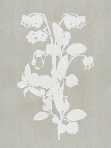 Witte botanische bloemen door cartissi