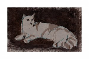 Rustende witte kat door cartissi