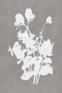 Wit bloemmotief