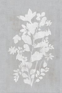 Wit bloemensilhouet door cartissi