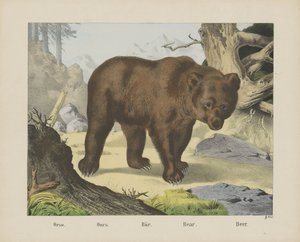 Beer door firma Joseph Scholz