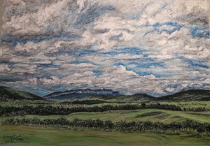De Grote Savanne Venezuela door miguelmendez_art.ve