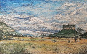 De Grote Savanne Venezuela door miguelmendez_art.ve