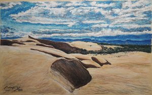 Duinen van Coro