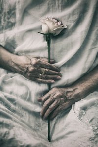 Tederheid in de handen die de roos vasthouden door nima.zadshir