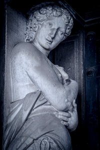 Biblioteca Marciana, Venetië, Italië (foto)