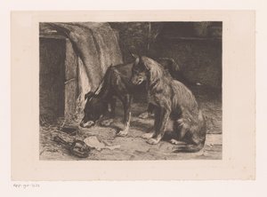 Twee honden bij een rattenval door van den Eyken (attributed to)