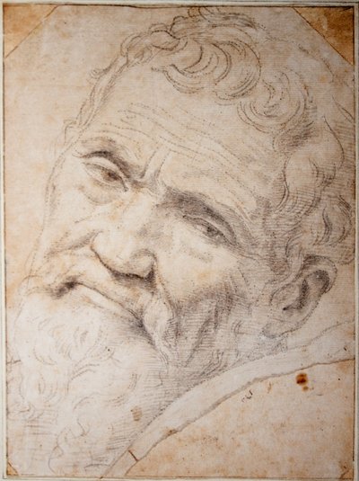 Portret van Michelangelo Buonarroti. Kolen, krijt op papier, ca.1550 door Daniele da  Volterra
