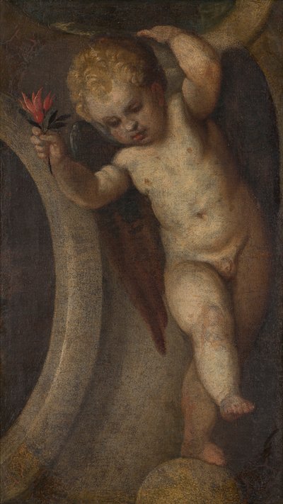 Putto met een rode bloem door Veronese