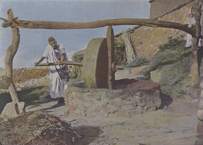 De Arabische Molen door (after) French Photographer