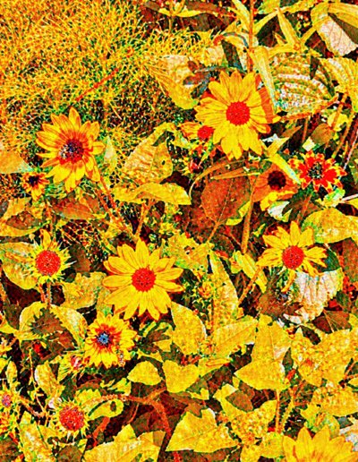 Zonnebloemen voor Van Gogh. door Margareta Uliarte