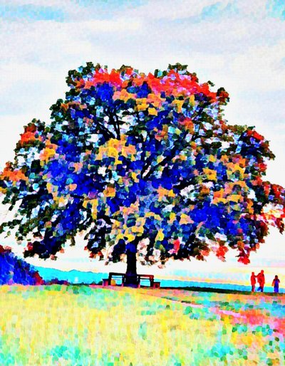 De heilige boom. Maria Vlakte. door Margareta Uliarte