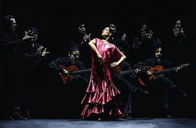 Trotse Flamencodanser door Richard Young