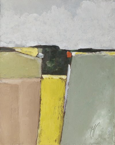 Regelmatige patroonvelden door M. Vet