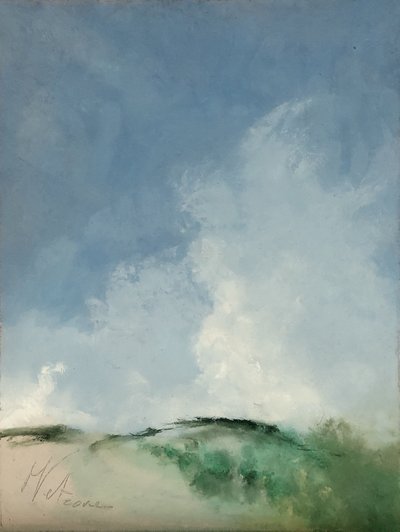 Moerassig gebied door M. Vet