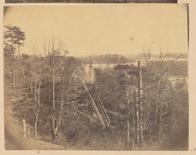 [Landschap met bomen en water] door A.J. Russell