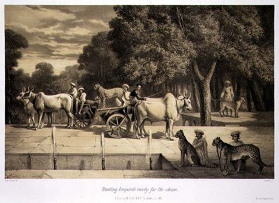 Jachtluipaarden Klaar voor de Jacht, uit 