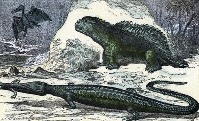 Prehistorie: voorstelling van een teleosaurus (verlengde snuit) en een hyleosaurus uit het Jura tijdperk gravure uit "Natuur en Mens" door Rengade 1881 door A. Demarle