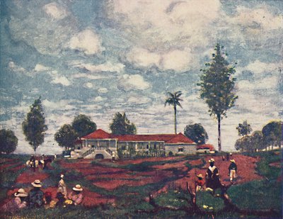 Een Koffie Fazenda, 1916 door A. S. Forrest