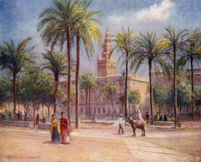 Sevilla, Plaza de San Fernando door A. Trevor Haddon