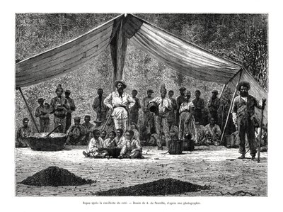 Een maaltijd na het verzamelen van koffie, Brazilië, 19e eeuw door A. de Neuville