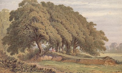 Studie van een groep eikenbomen, nabij Eltham, Kent door Aaron Edwin Penley