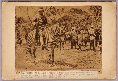 Paard en kruiser gecamoufleerd, studiemap voor boek Concealing Coloration in the Animal Kingdom door Abbott Handerson Thayer