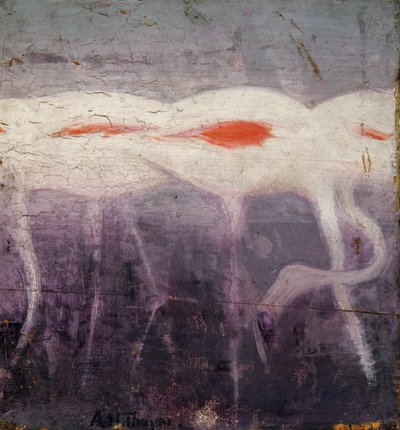 Witte flamingo