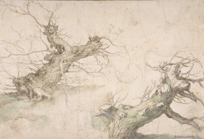 Studies van Twee Knotwilgen, Verso: Breed Landschapsperspectief door Abraham Bloemaert