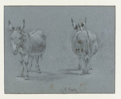 Twee studies van een ezel, van voren en van achteren gezien door Abraham Jansz Begeyn