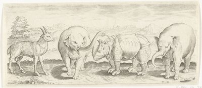 Gazelle, olifant en neushoorn Dieren (serie titel) door Abraham de Bruyn (possibly)
