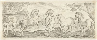 Paarden Dieren door Abraham de Bruyn (possibly)