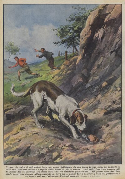 De hond die zijn baasje redt door Achille Beltrame