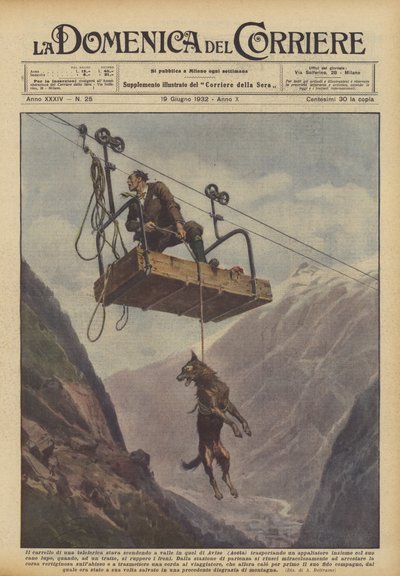 Het karretje van een kabelbaan daalde af in de vallei bij Avise (Aosta) met door Achille Beltrame