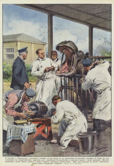 De tandarts en het nijlpaard door Achille Beltrame