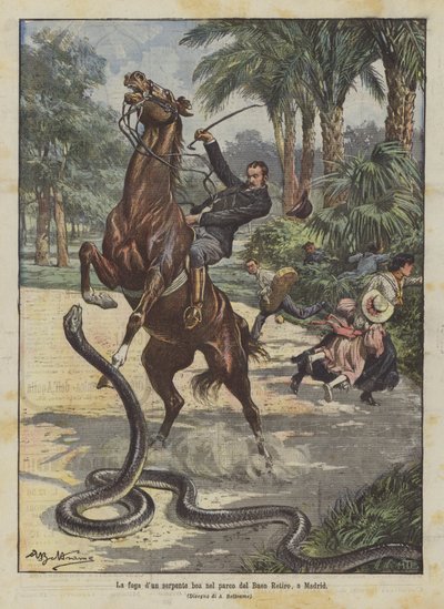 De ontsnapping van een boa-slang in het park van Buen Retiro, in Madrid door Achille Beltrame