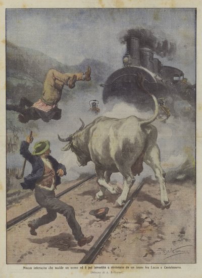 Woedende koe die een man doodt en vervolgens wordt aangereden en verpletterd door een trein tussen Lucca en Castelnuovo door Achille Beltrame