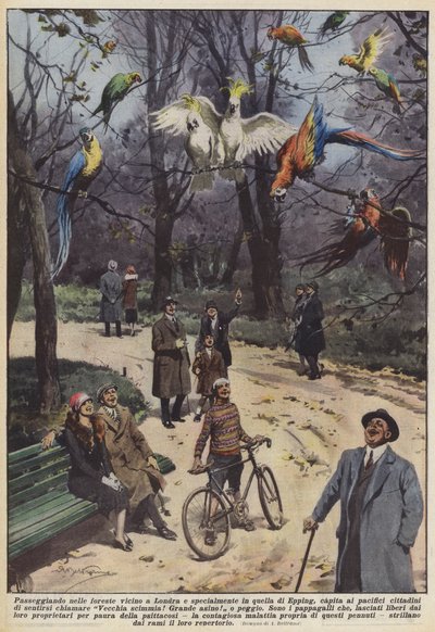 Wandelen in de bossen nabij Londen, vooral in Epping Forest, gebeurt het vaak dat... door Achille Beltrame