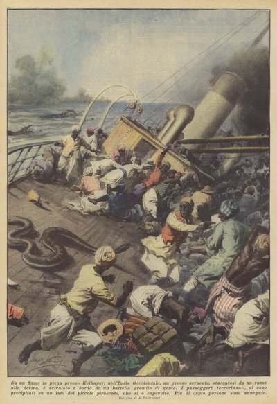 Op een overstroomde rivier bij Kolhapur, in West-India, brak een grote slang los door Achille Beltrame