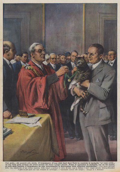 Een kat die de geschiedenis in zal gaan door Achille Beltrame