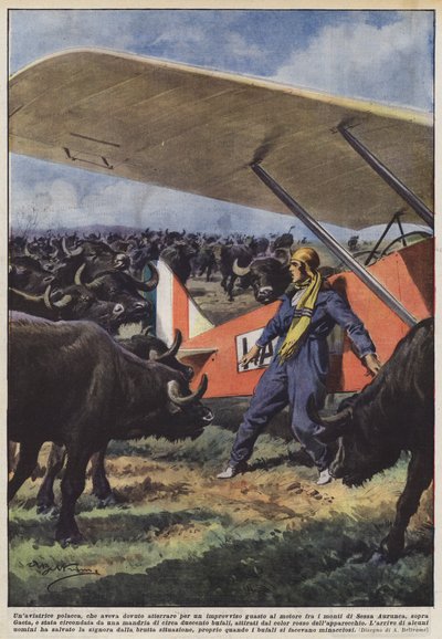 Een Poolse pilote moest een noodlanding maken door een plotselinge motorstoring in de bergen door Achille Beltrame