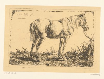 Paard aan een boom door Adam von Bartsch
