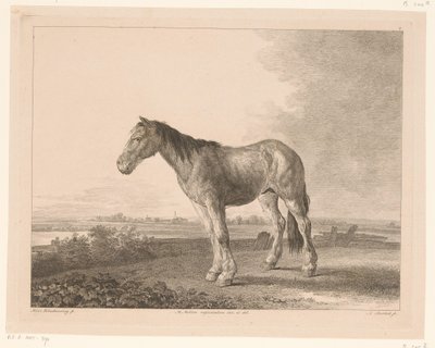 Staand paard in een rivierlandschap door Adam von Bartsch