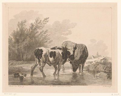 Twee koeien in een beek door Adam von Bartsch
